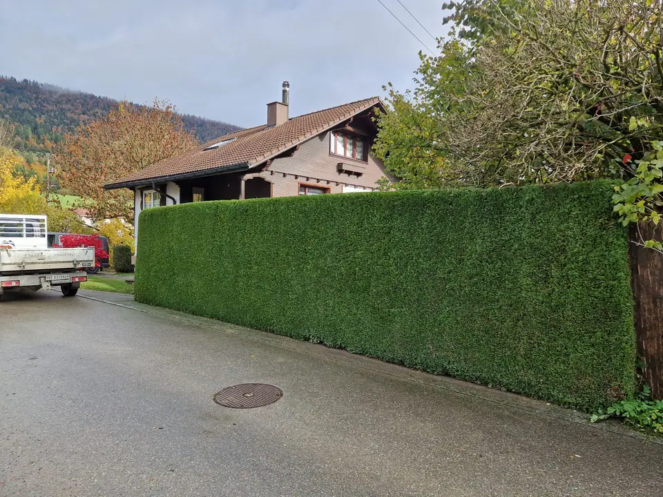 Espace vert entretenu par F. Mühlheim