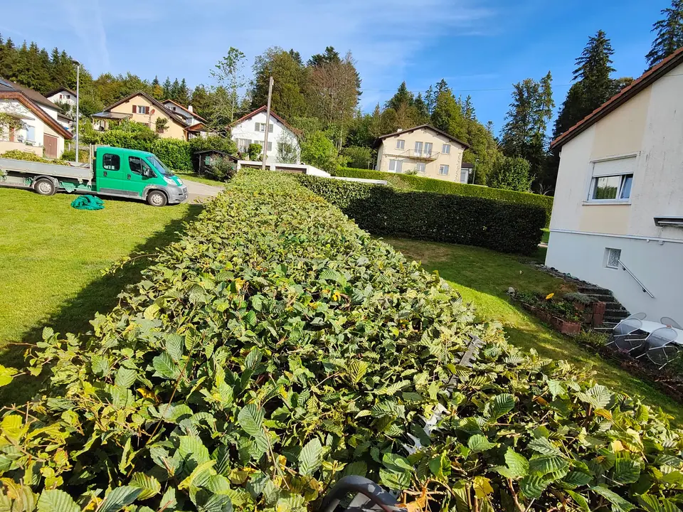 Espace vert entretenu par F. Mühlheim