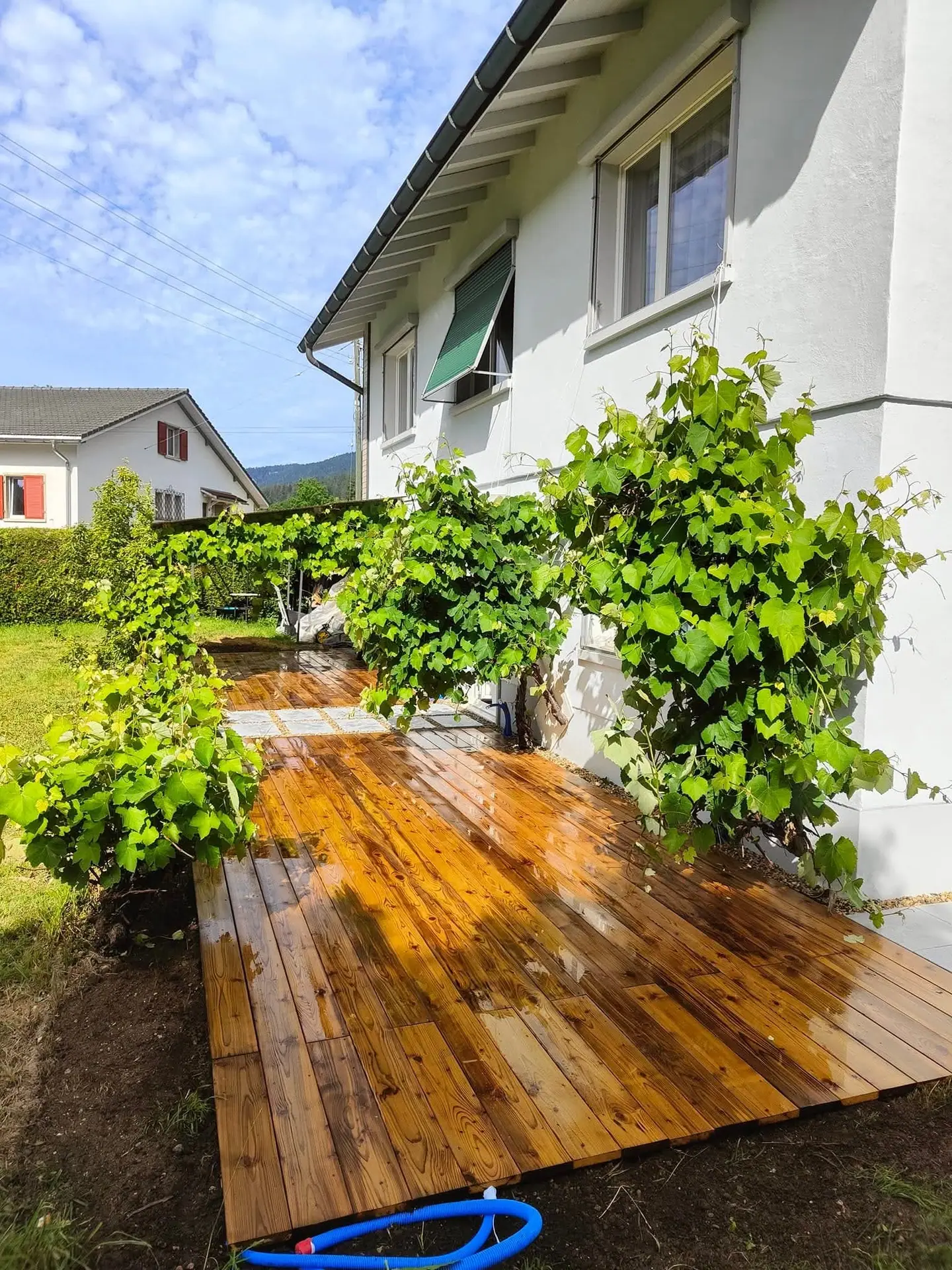 Une terrasse en bois sous la vigne, après travaux