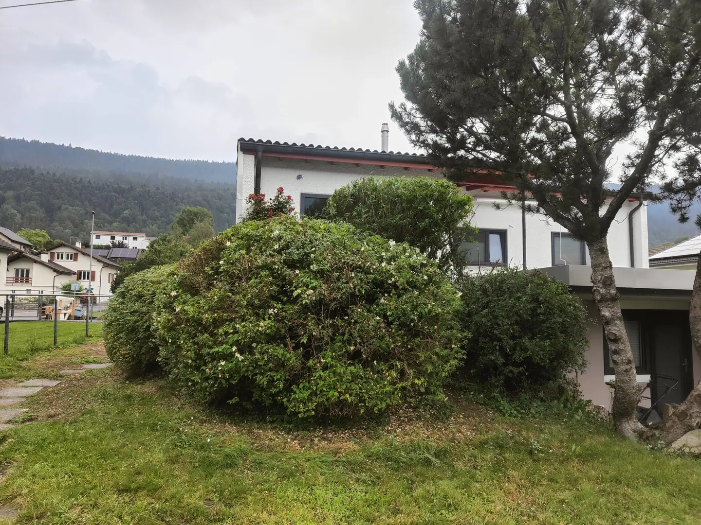 Un talus en friche transformé en terrasses, avant travaux